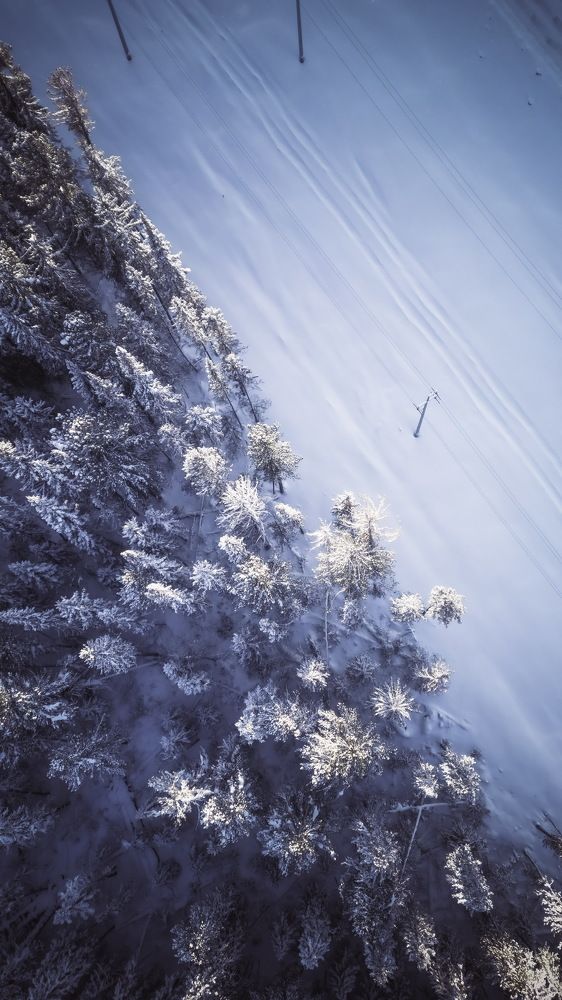 Photograph by Роман Алейников