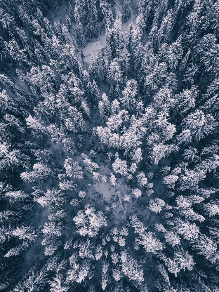 Photograph by Роман Алейников