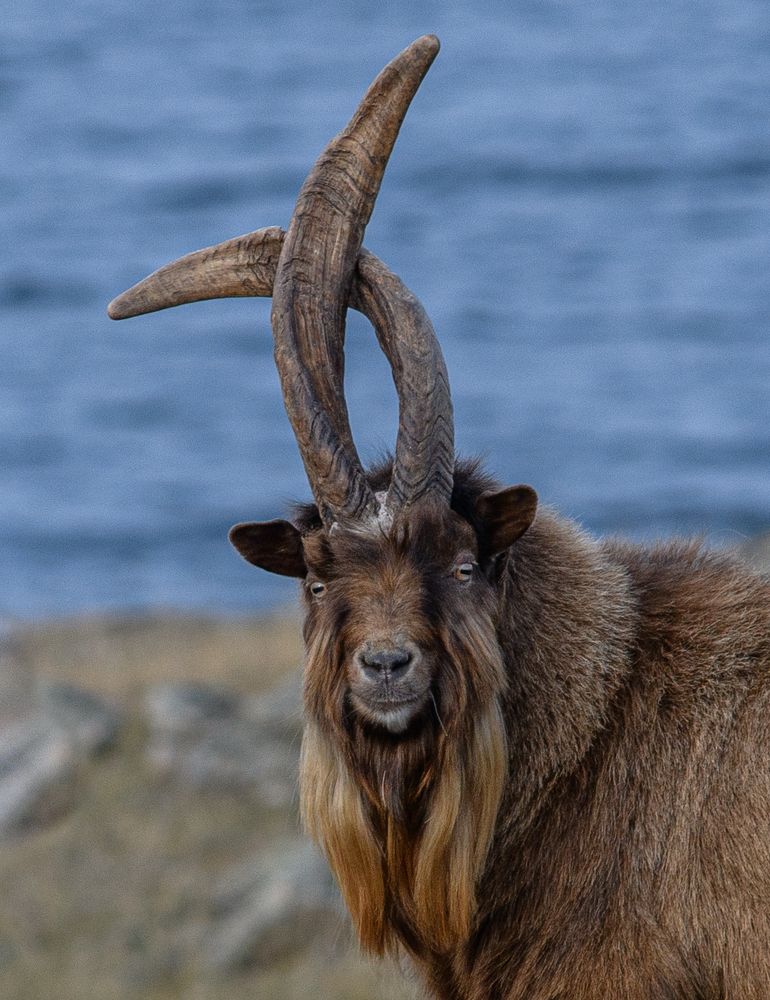 Photograph by Владимир Шаботин