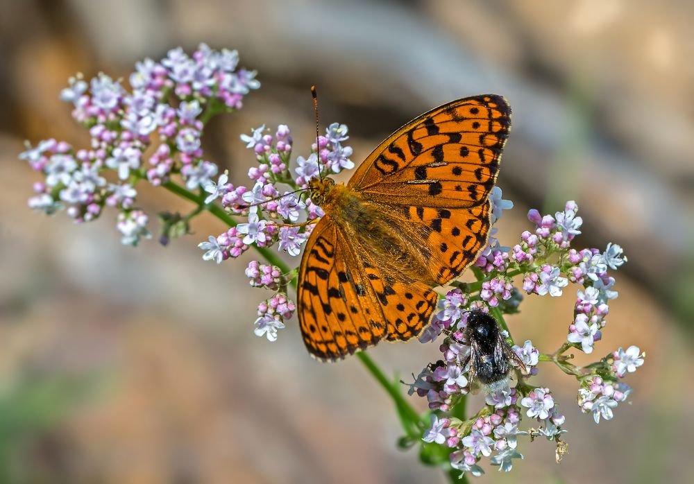 Photograph by Борис Новиков