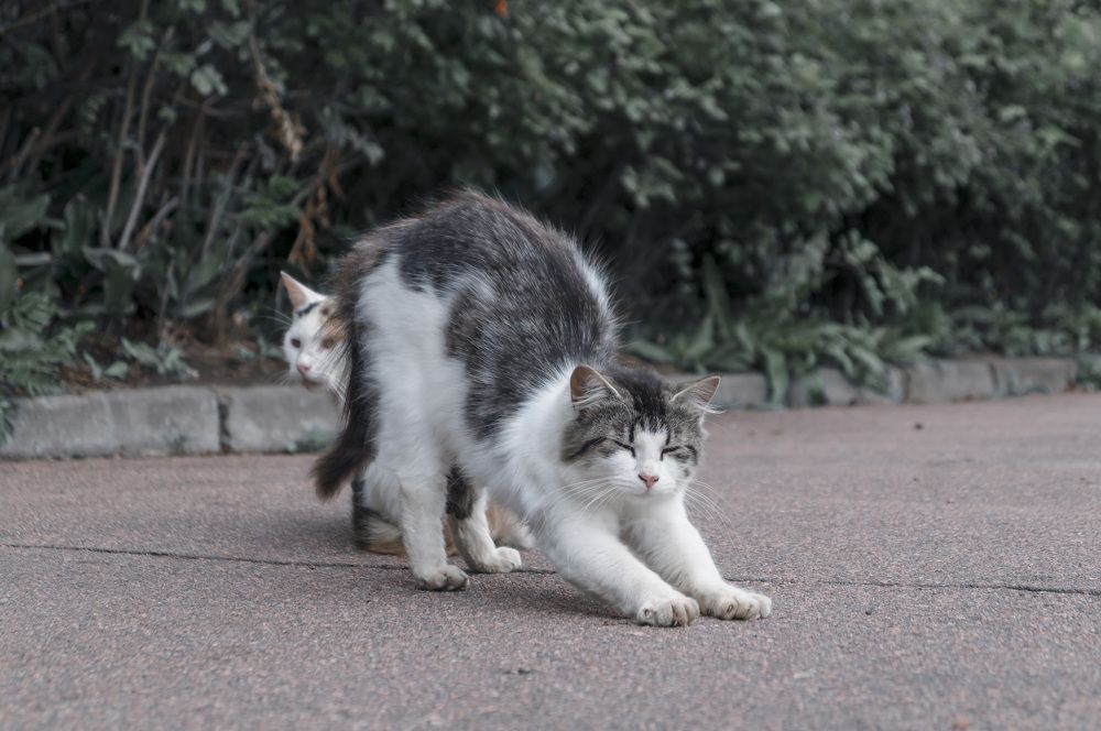 Photograph by Андрей