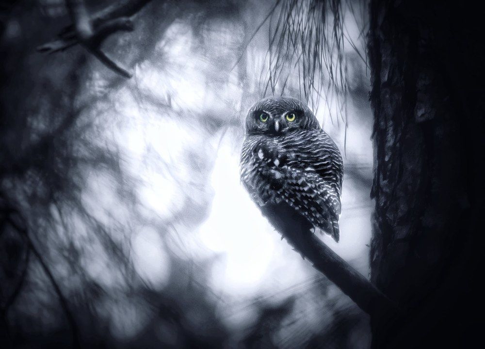 Photograph by Madhurya Mozumder