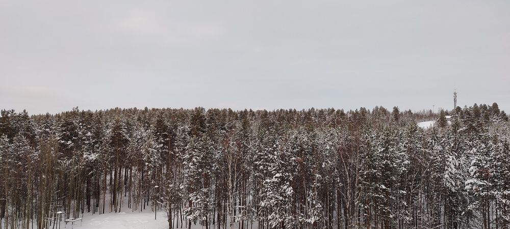 Photograph by Денис Клубникин