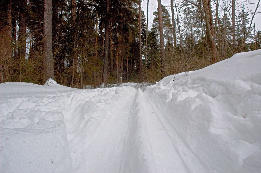 Photograph by Олег Васильев