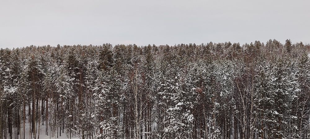 Photograph by Денис Клубникин