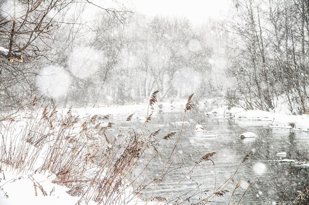 Photograph by Владимир Гречанинов