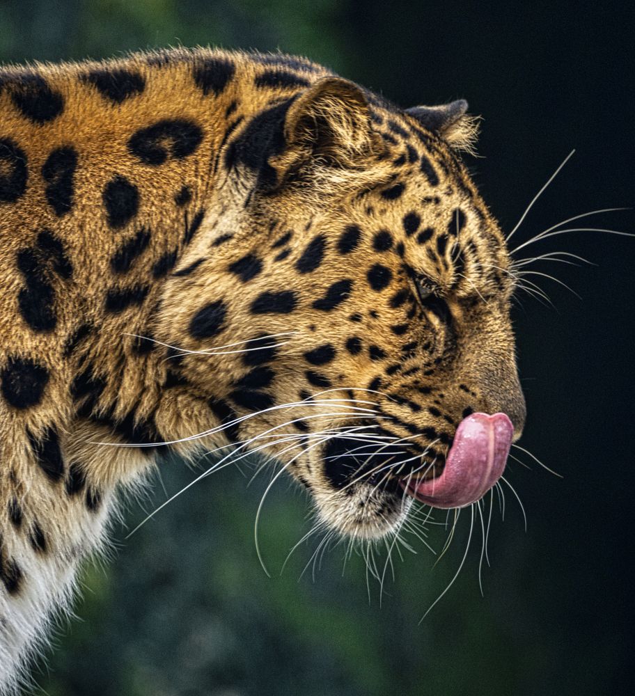 Photograph by Владимир Остапенко