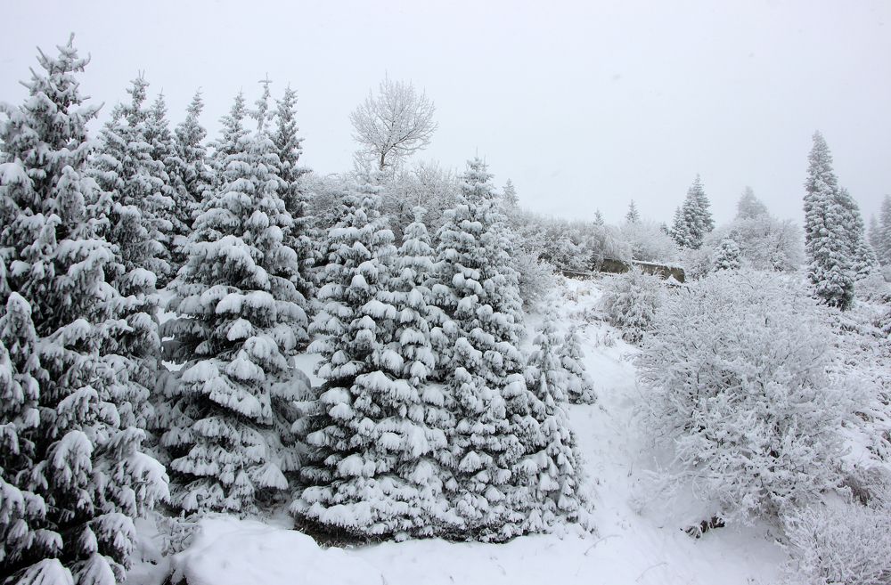 Photograph by Аля Портных