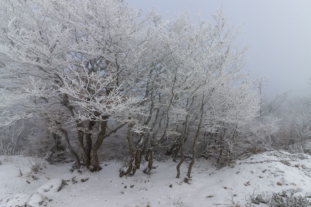 Photograph by Sajkovski Dejan