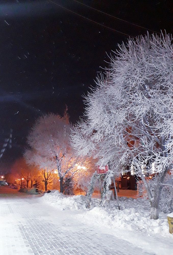 Новогоднее волшебство