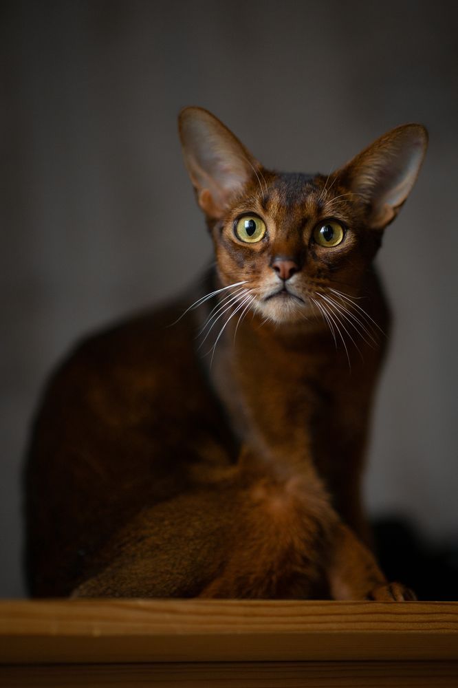 Photograph by Харламова Алина