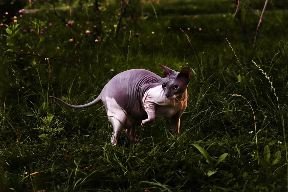 Photograph by Злата Новикова