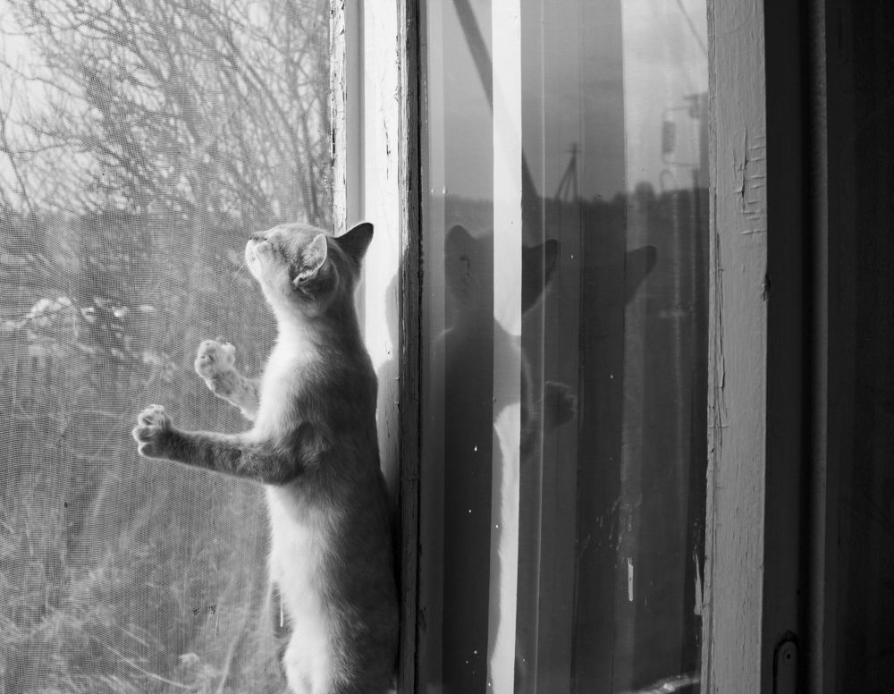 Photograph by Елена Федорова