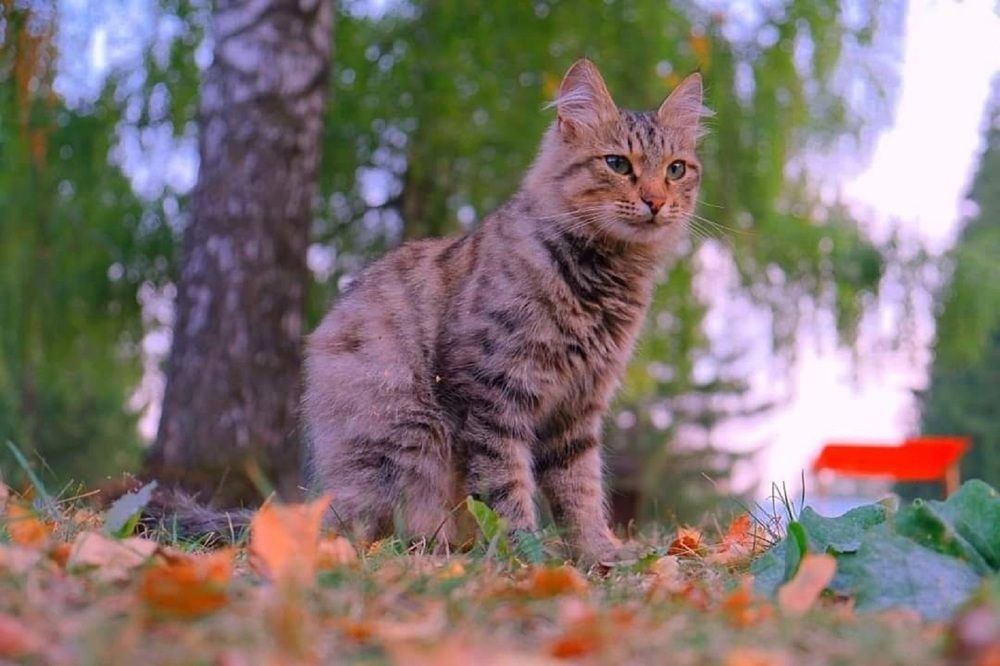 Photograph by Альберт Габбасов