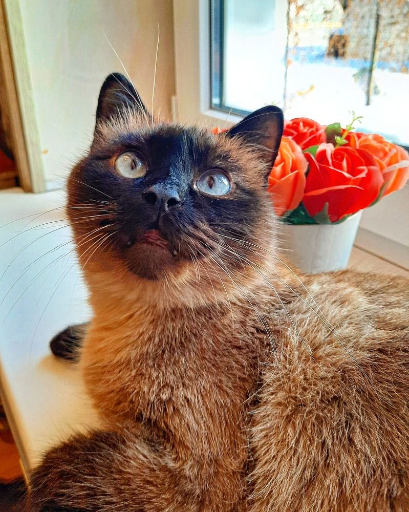 Photograph by Евгения Митюшкина