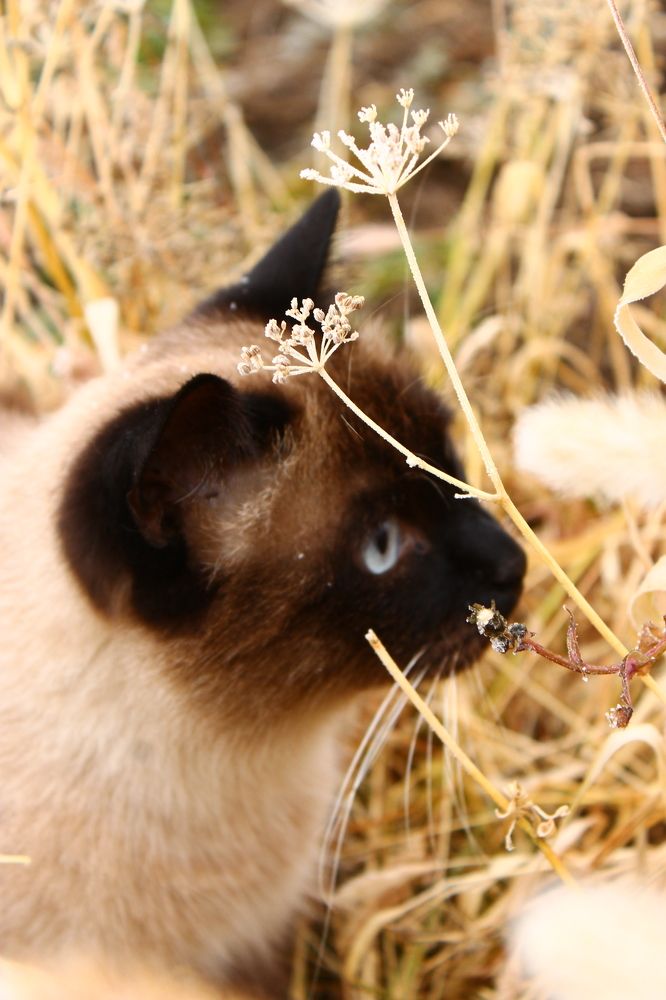 Photograph by Евгения Митюшкина