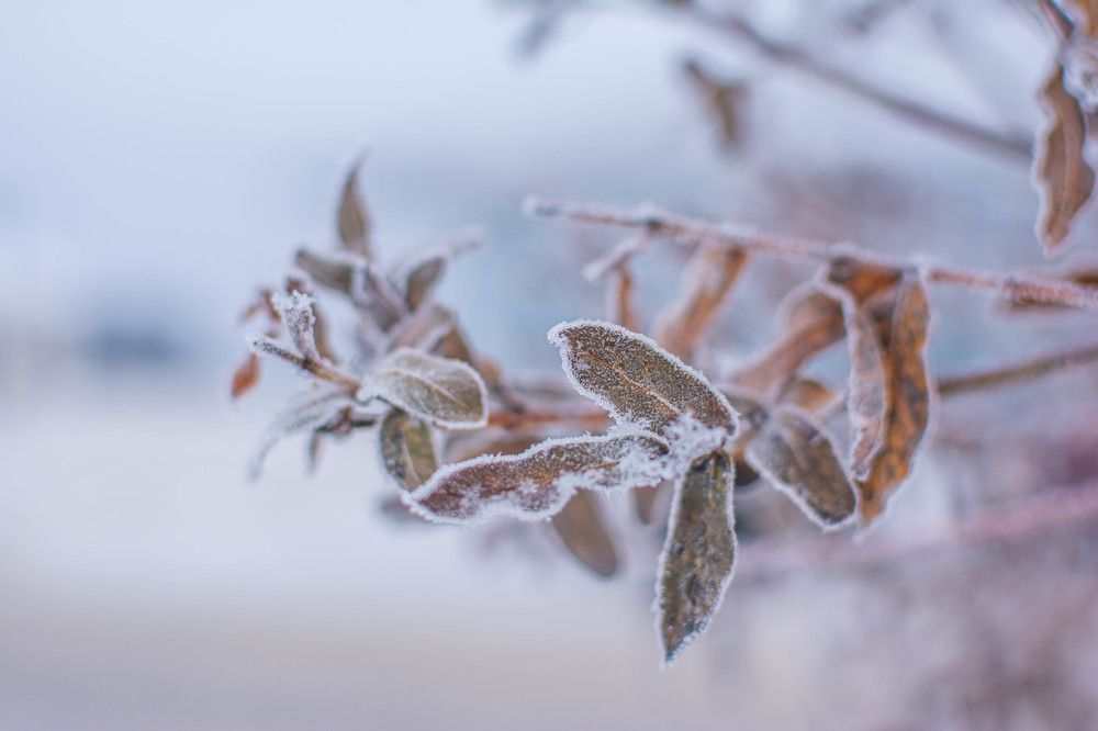 Photograph by Дмитрий Жижин