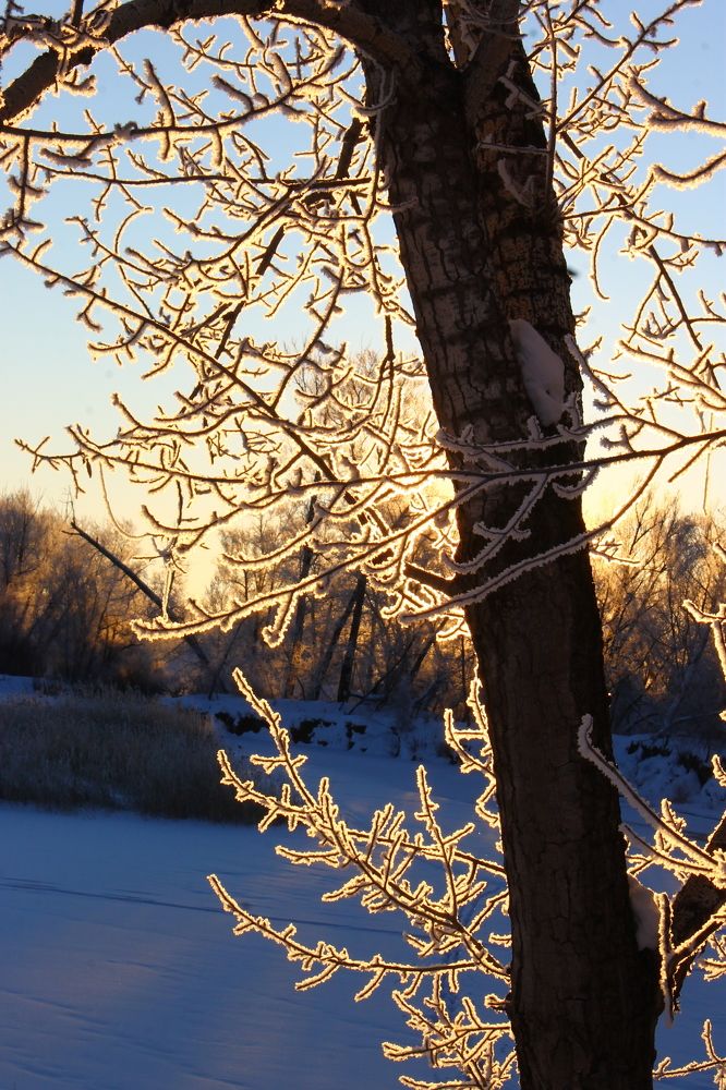 Photograph by Евгения Митюшкина