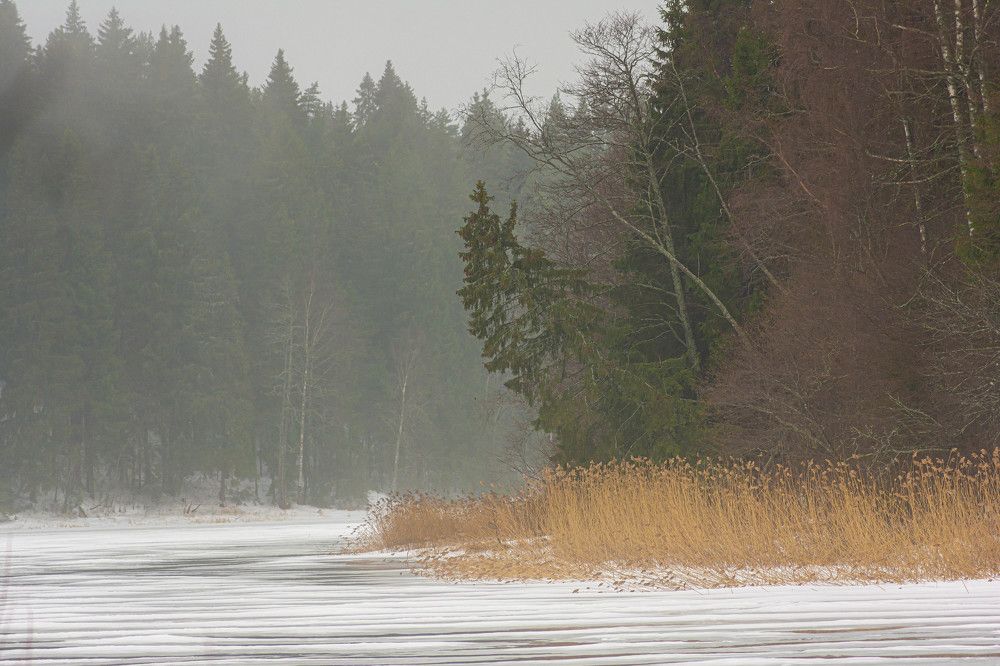 Photograph by Дмитрий Жижин