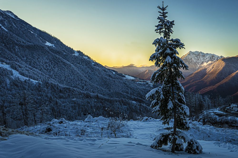 Photograph by Валерий Ситников