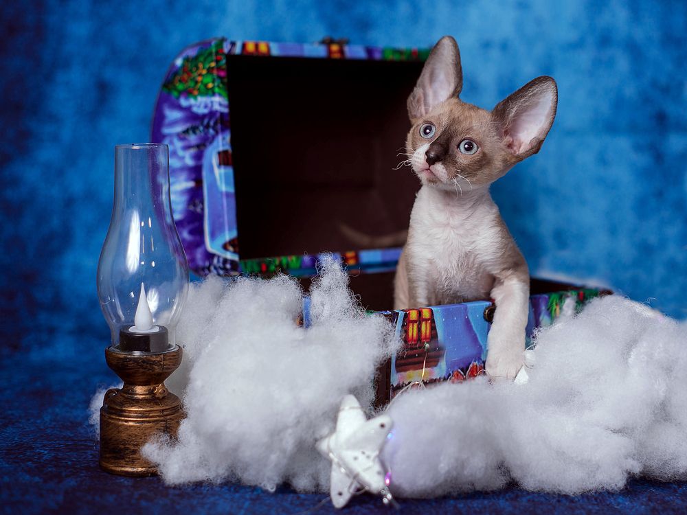 Photograph by Любовь Похабова