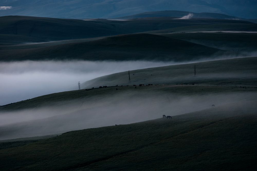 Photograph by Альбина Сагитова