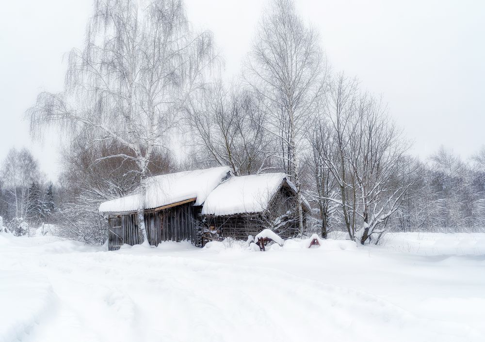 Photograph by Владимир Щеголев