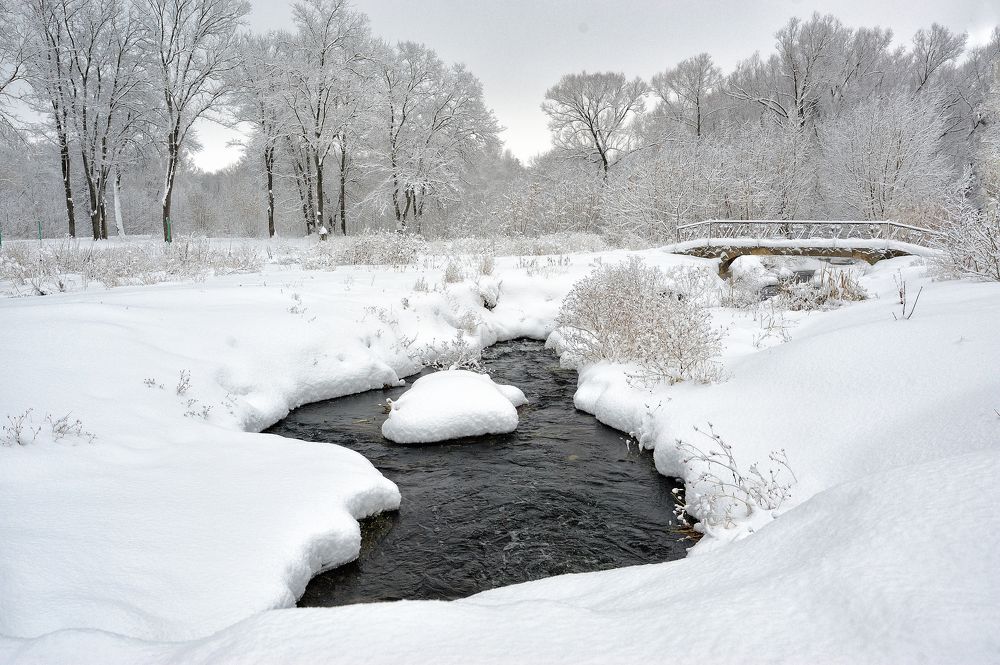 Photograph by Владимир Щеголев
