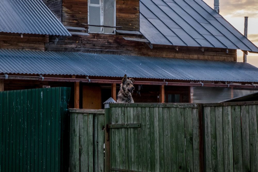 Photograph by Tatiana Potapenko