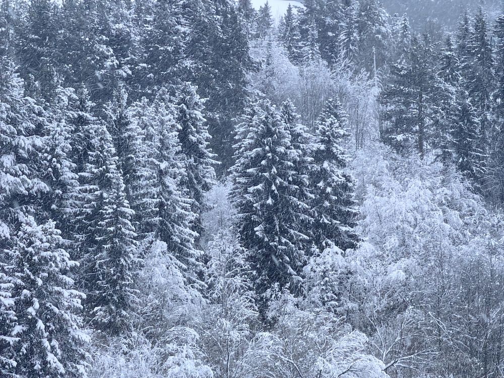 Photograph by Alexandr