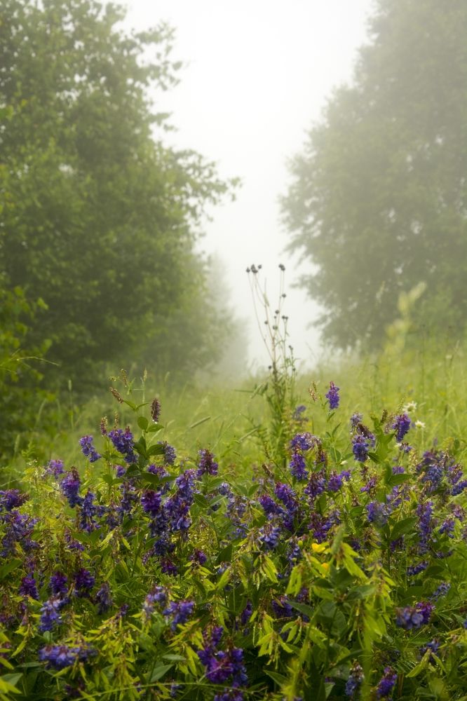 Photograph by Михаил Лавренков