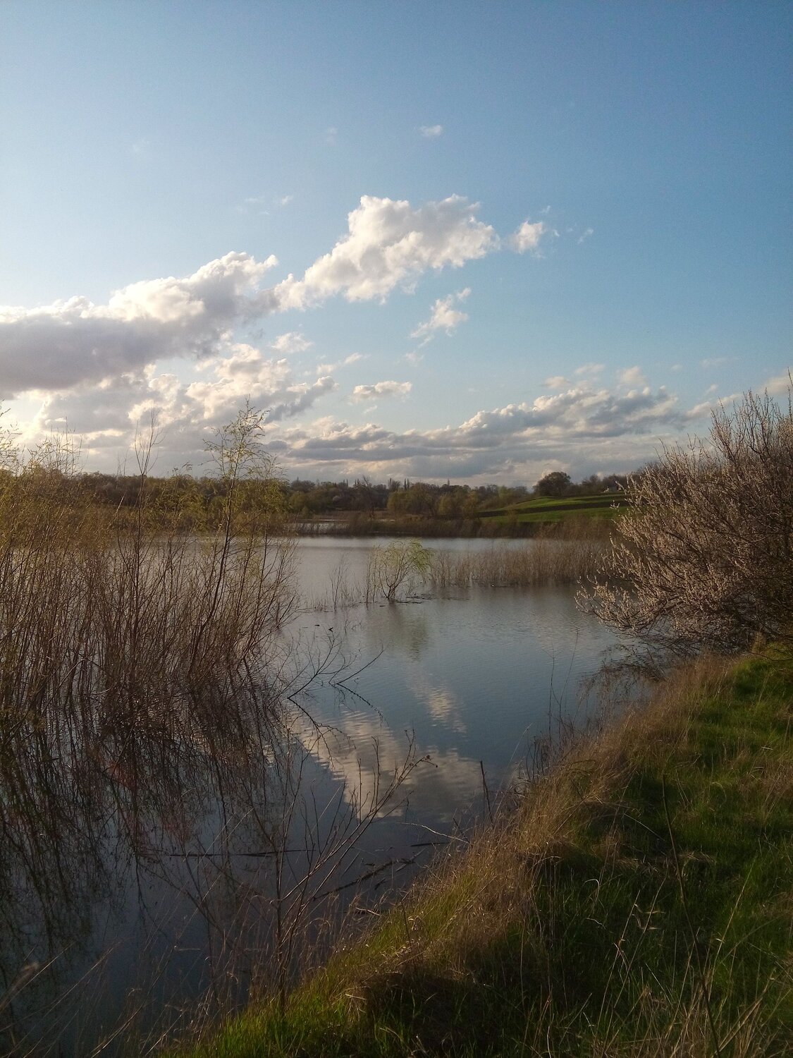 Photo #8677594