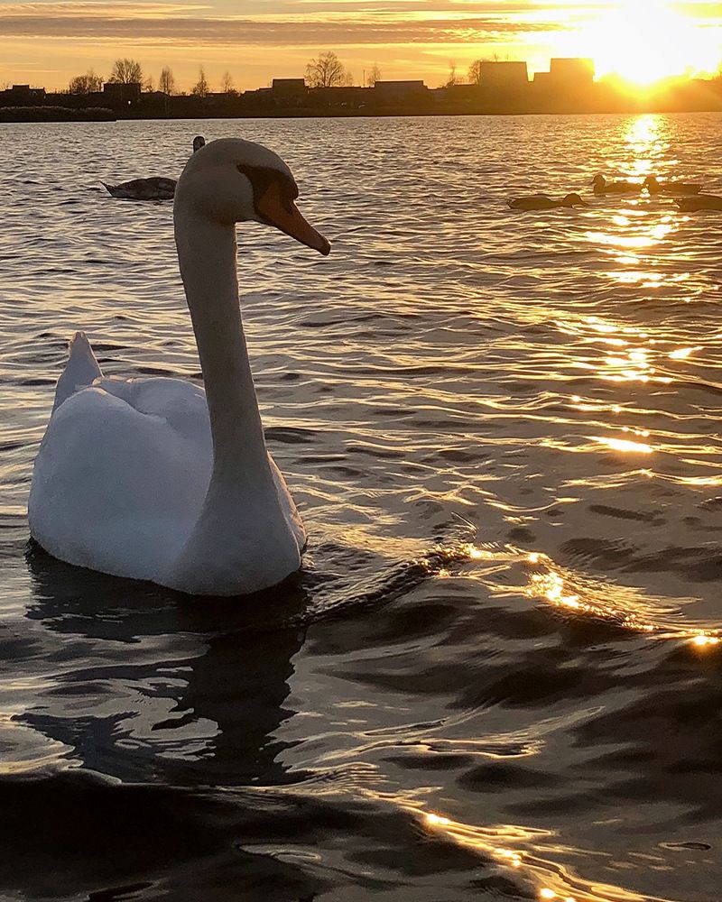 Photograph by Halina Mitsevich