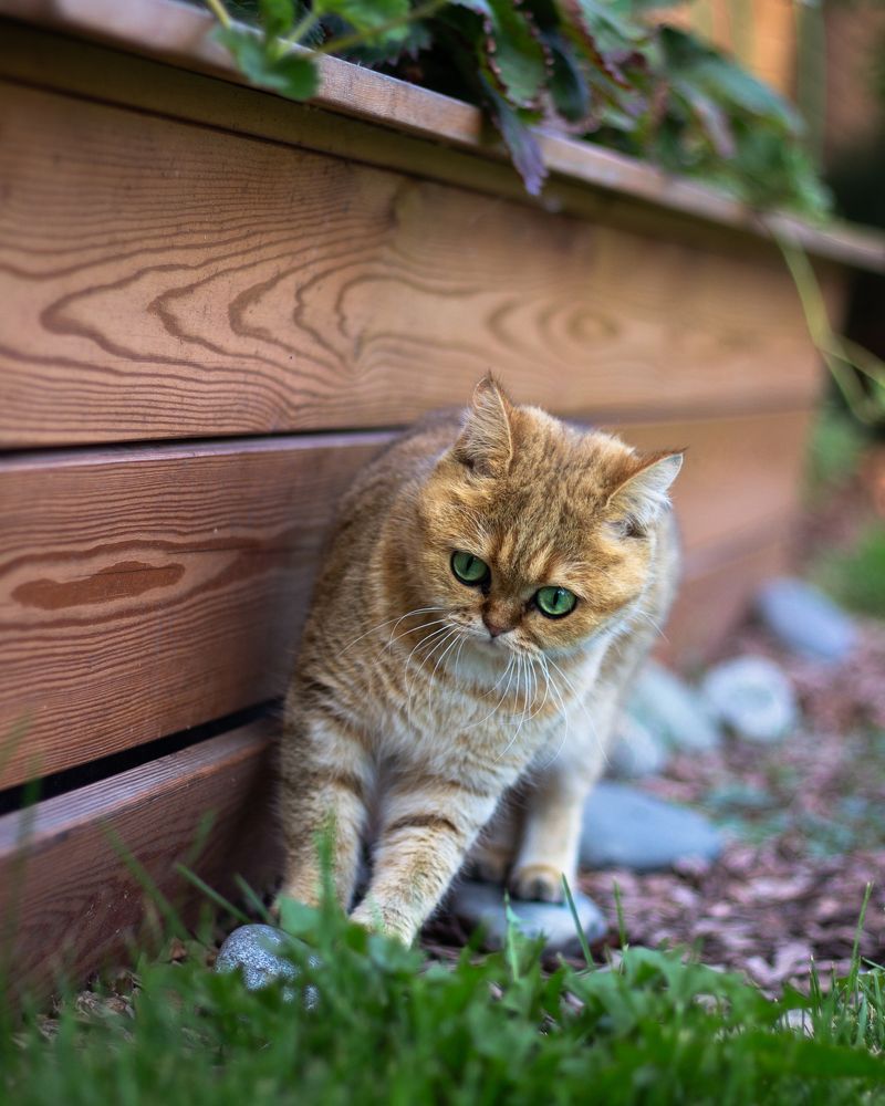 Photograph by Татьяна Кравченко