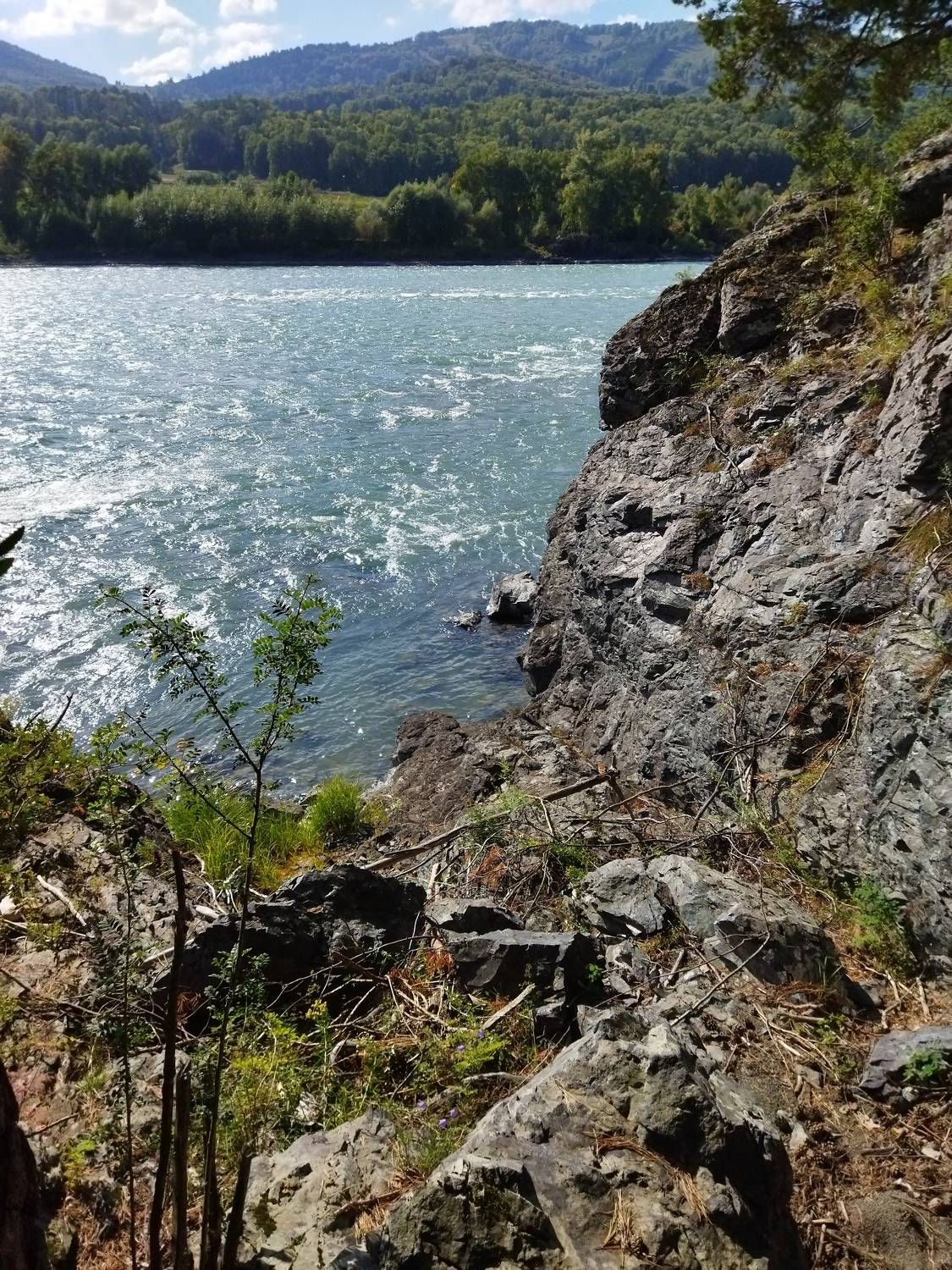 Photo #8677696