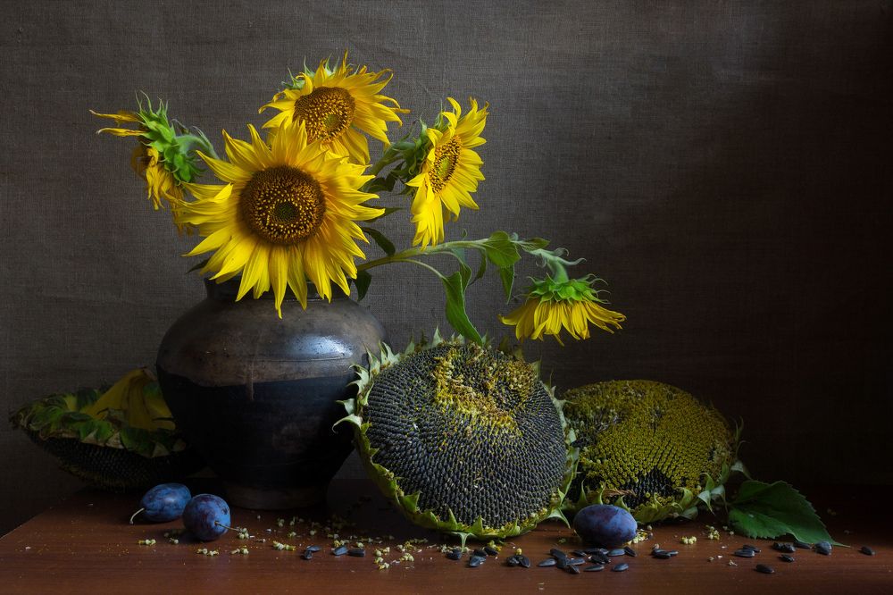 Подсолнухи.