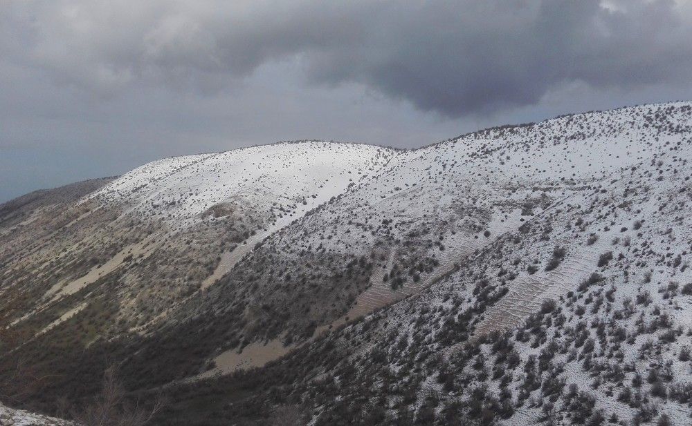 Фотография автора kazem kakaei