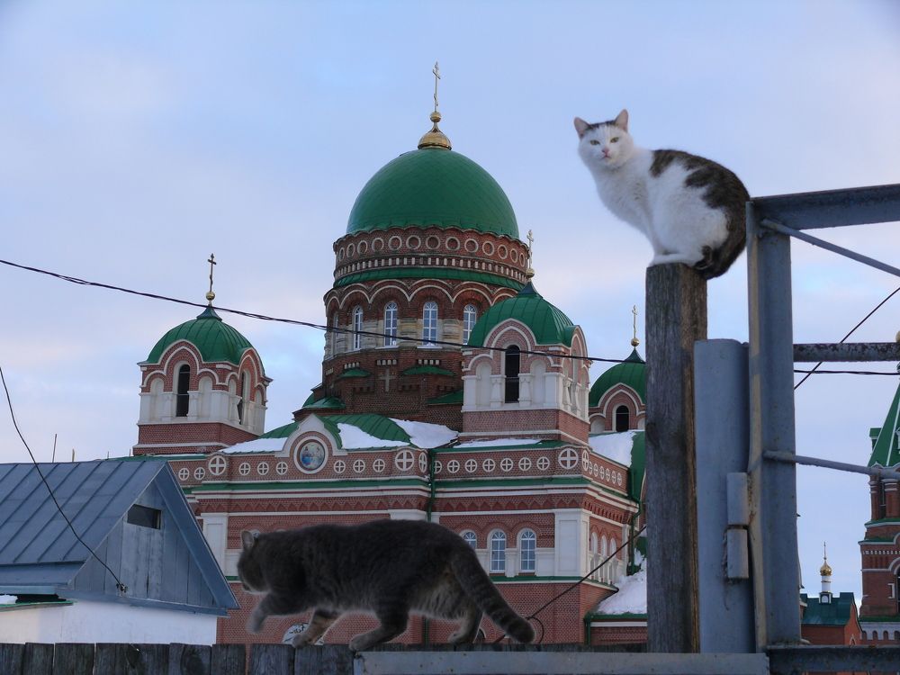 Photograph by Елена Попова