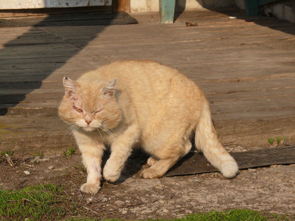 Photograph by Елена Попова