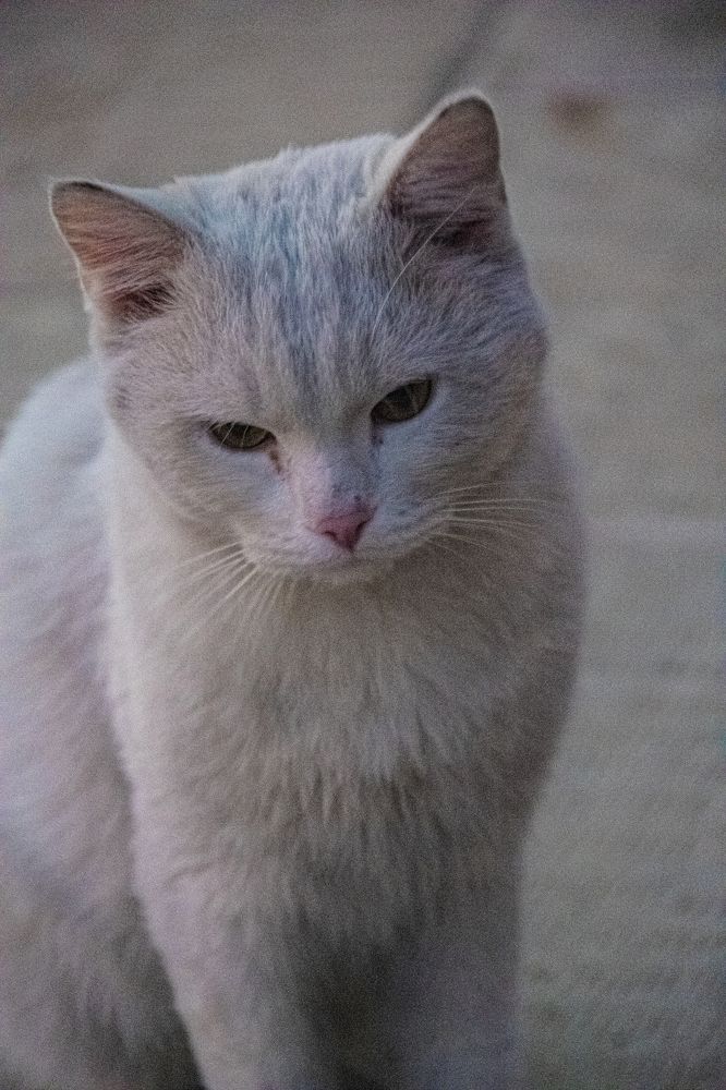 Фотография автора kazem kakaei