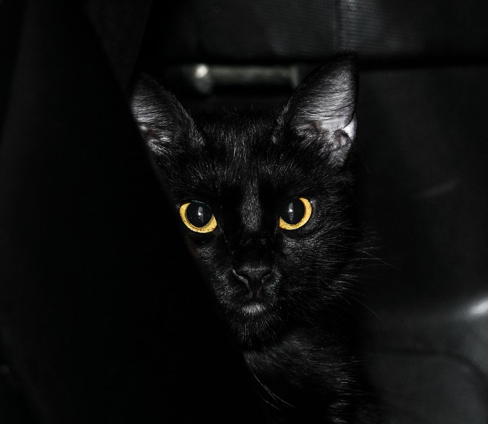 Photograph by Marlon Valdes