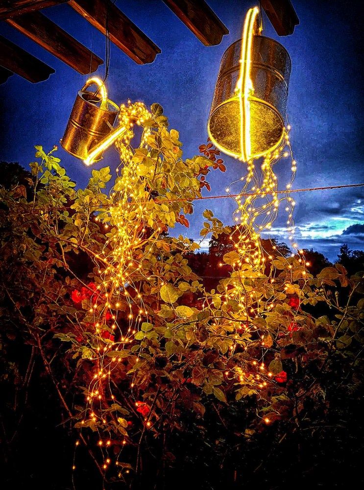 Photograph by Zinaida Nesselmann