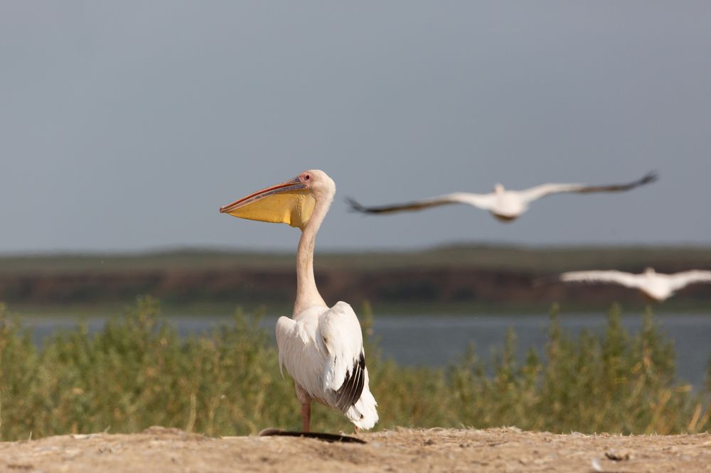 Photograph by Александр Ильин