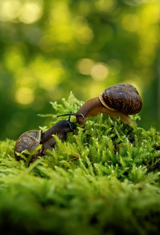 Фотография автора Aлена Хлопова