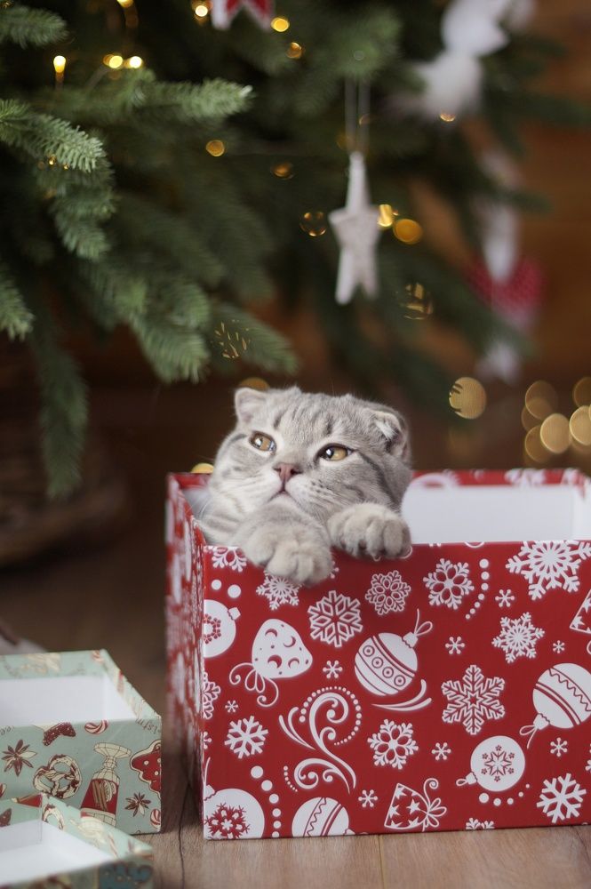 Photograph by Анастасия Позинич