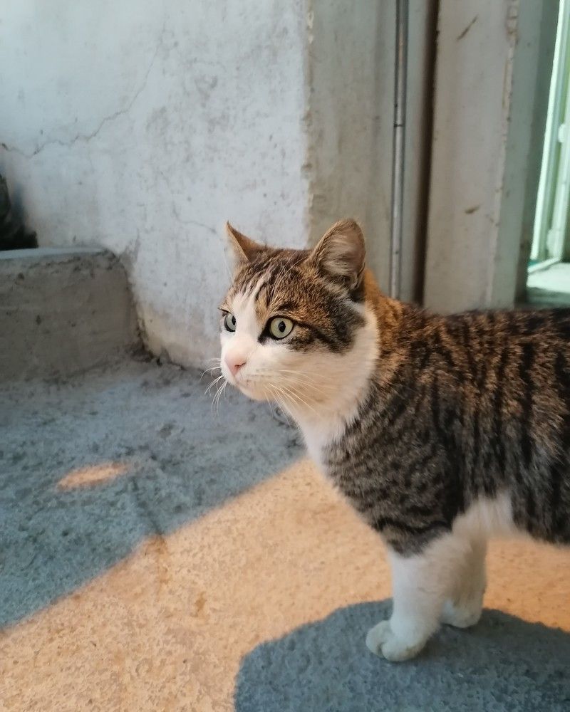 Фотография автора kazem kakaei