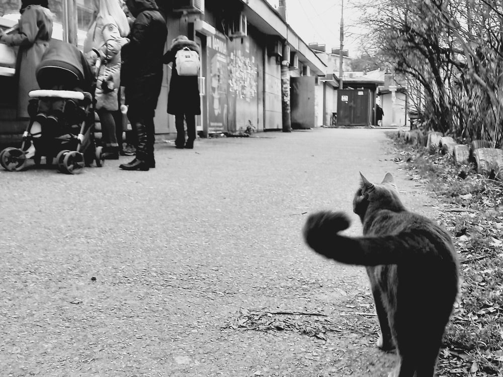 Photograph by Марина Храпова