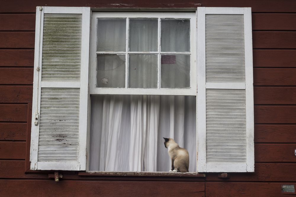 Photograph by Régis Santos