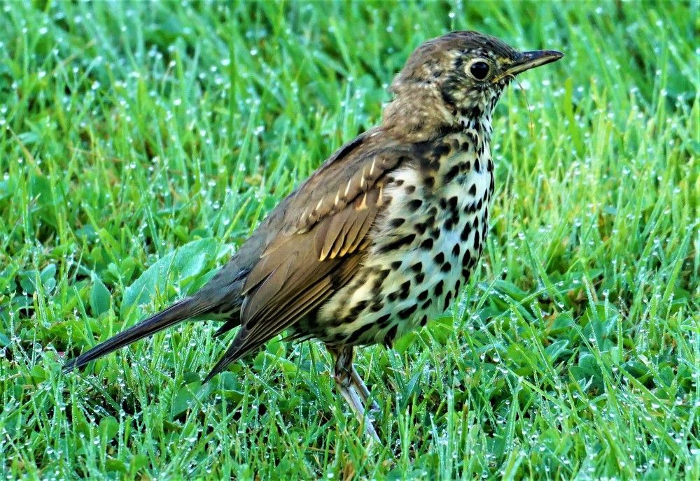 Photograph by Михаил Трусов