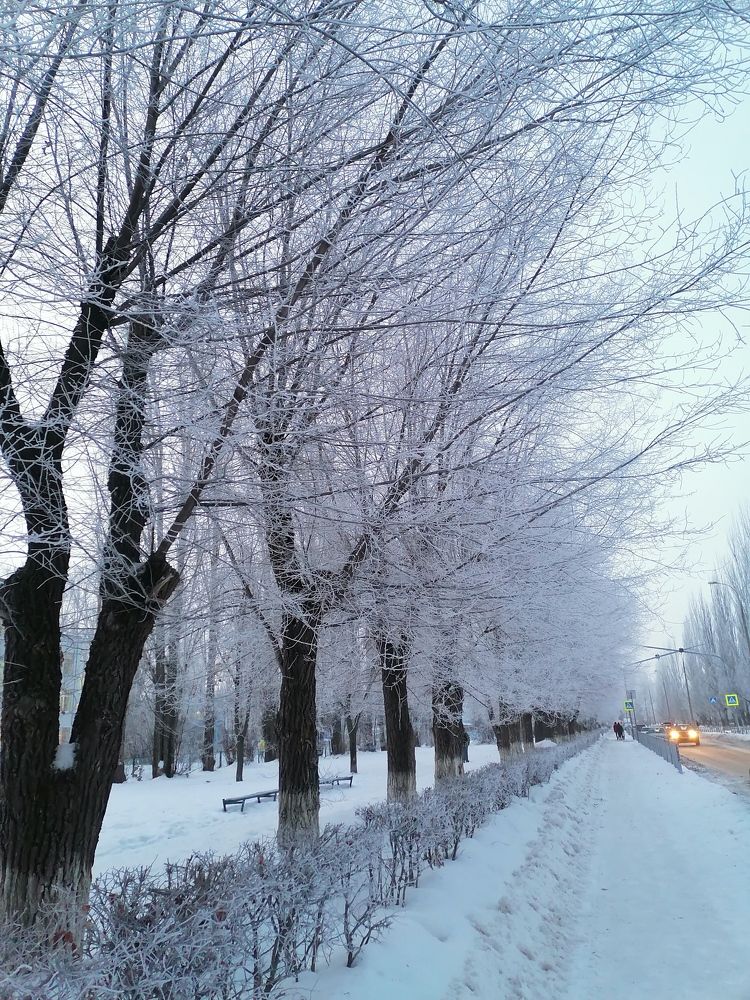 Photograph by Любовь Панфилова